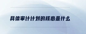 具體審計(jì)計(jì)劃的核心是什么