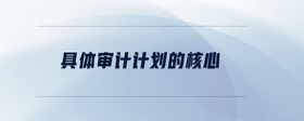 具體審計(jì)計(jì)劃的核心