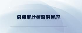 總體審計(jì)策略的目的