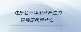 注冊會計師審計產(chǎn)生的直接原因是什么