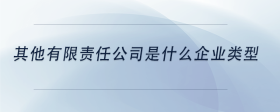 其他有限責(zé)任公司是什么企業(yè)類型