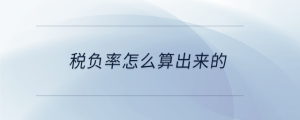稅負(fù)率怎么算出來(lái)的