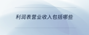 利潤(rùn)表營(yíng)業(yè)收入包括哪些